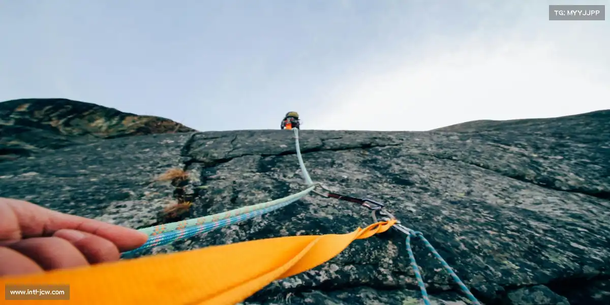 竞彩网首页——实时生物反馈·使突破可见🔬